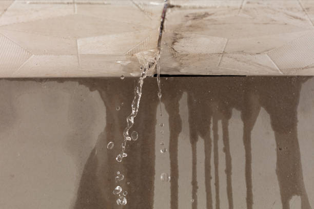 Professional Structural Drying technician working in Greenville, TX